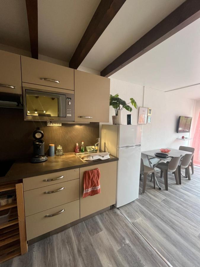 Appartement Argeles-Sur-Mer Avec Piscine A 500M De La Mer Экстерьер фото